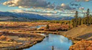 Running Bear Pancake House