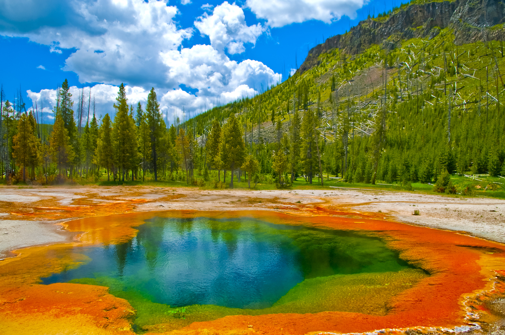10 Things to Do in West Yellowstone, Montana