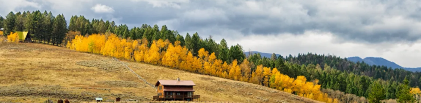 Terms and Conditions